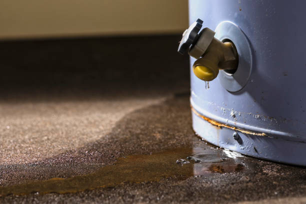 Best Ceiling water damage repair  in Anson, TX