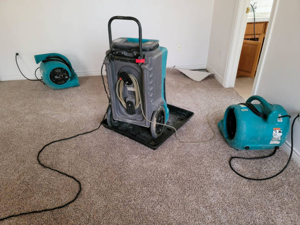 Best Basement water damage restoration  in Anson, TX