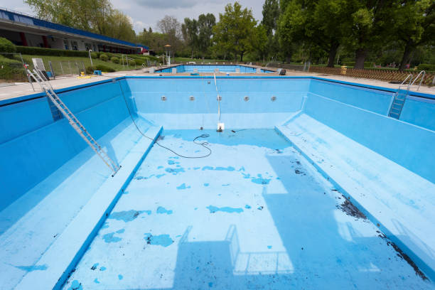 Best Professional water damage repair  in Anson, TX