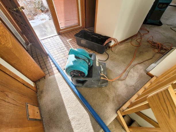 Best Water damage cleanup near me  in Anson, TX