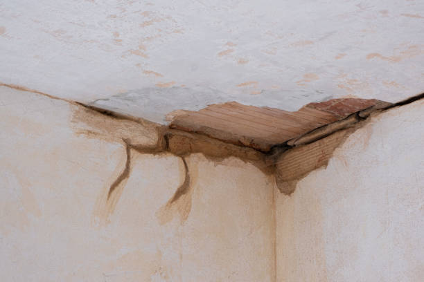 Best 24-hour water damage restoration  in Anson, TX