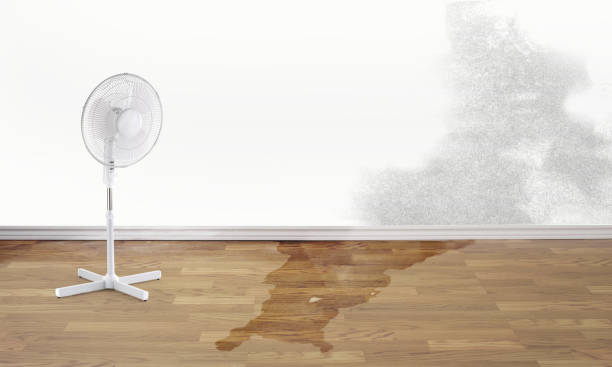 Anson, TX Water damage restoration Company
