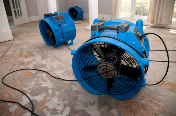 Best Professional water damage repair  in Anson, TX