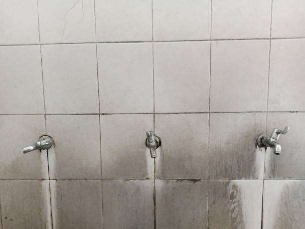 Best Water damage restoration near me  in Anson, TX