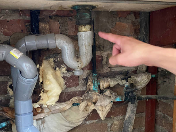 Best Mold removal after water damage  in Anson, TX