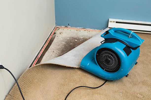 Best Water damage contractors near me  in Anson, TX